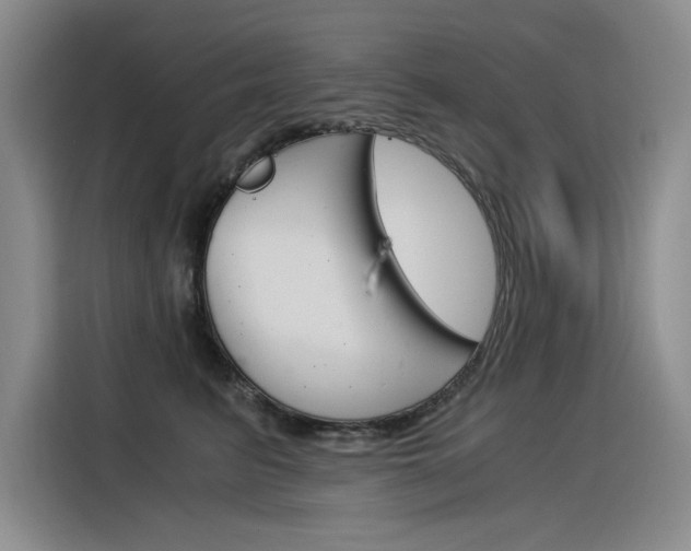 X0000116390615200912021007