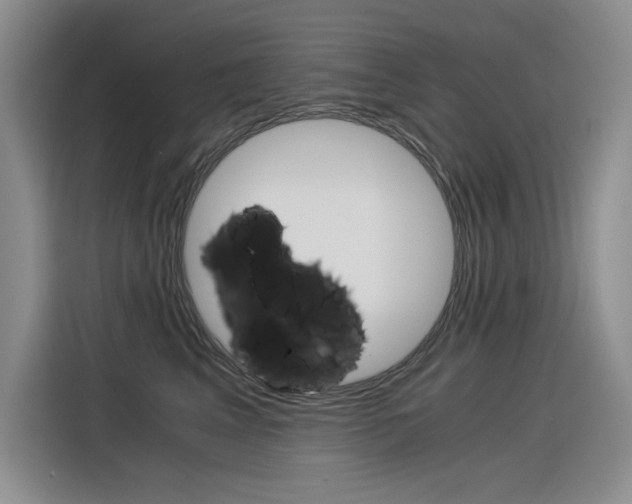 X0000116390617200912021007
