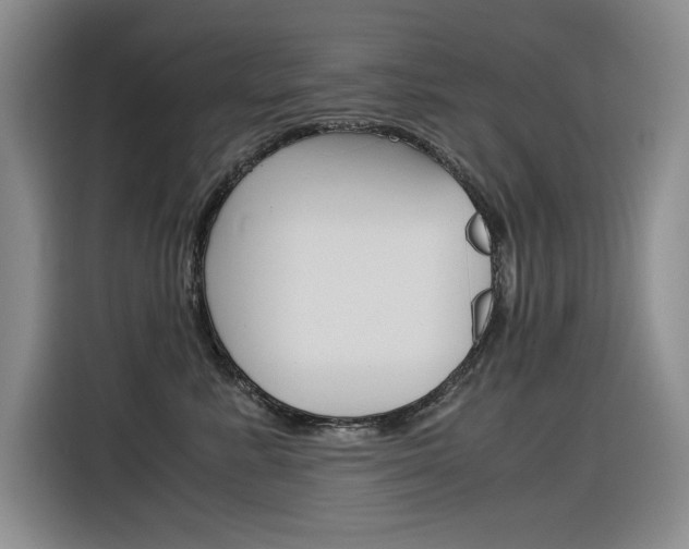 X0000116390619200912021007