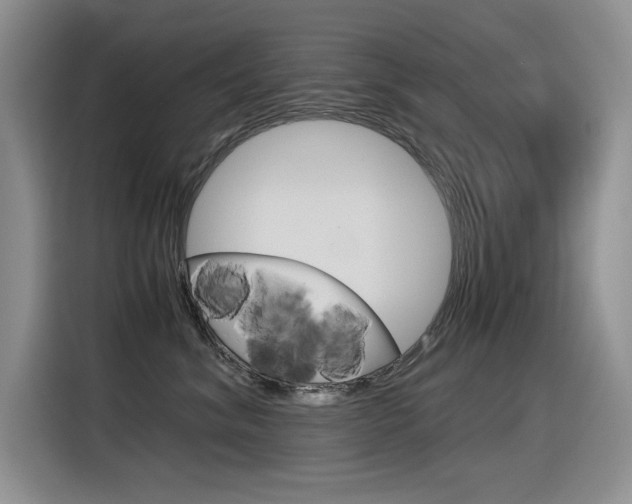 X0000116390620200912021007