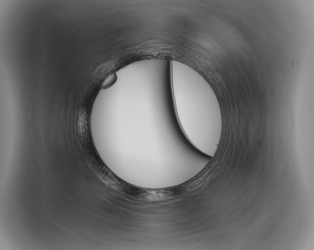 X0000116390623200912021007