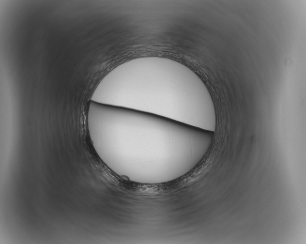 X0000116390624200912021007