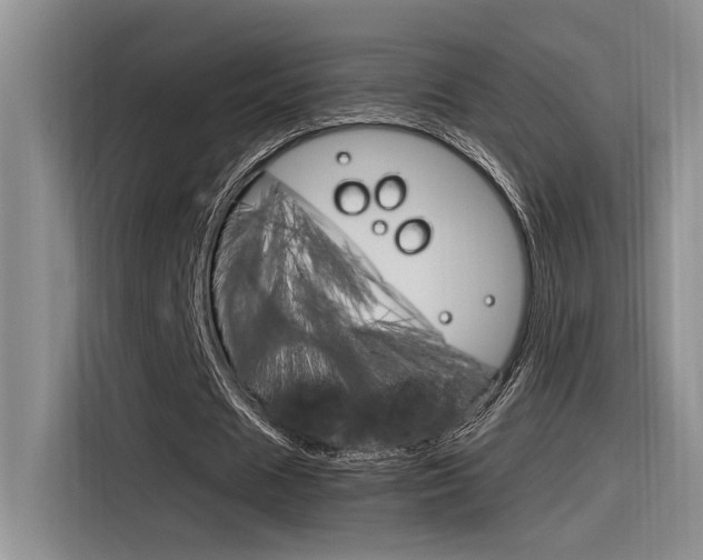X0000116390625200912021006