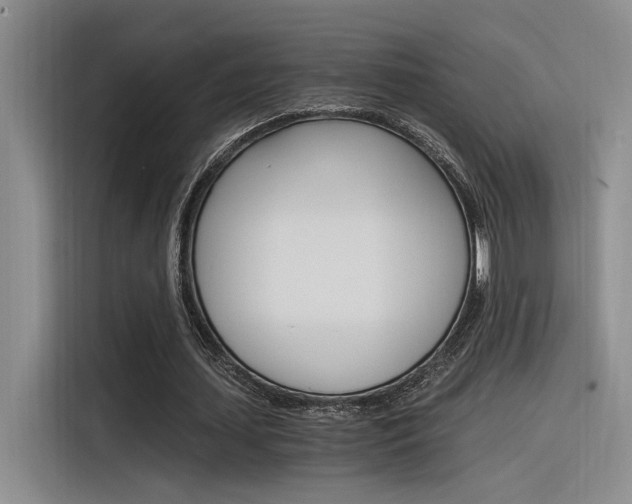 X0000116390627200912021006