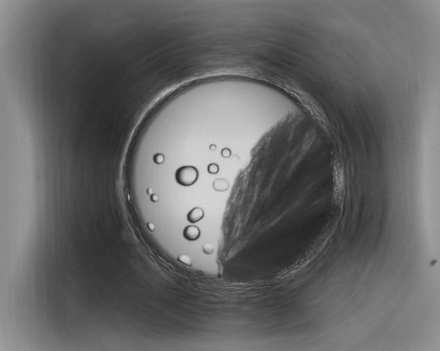 X0000116390628200912021006