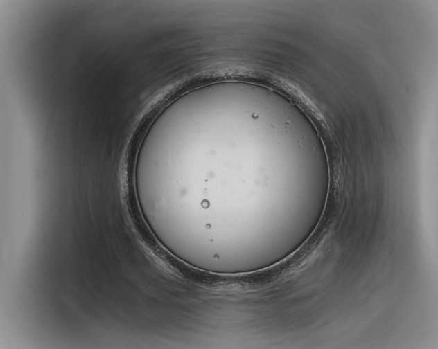 X0000116390629200912021006