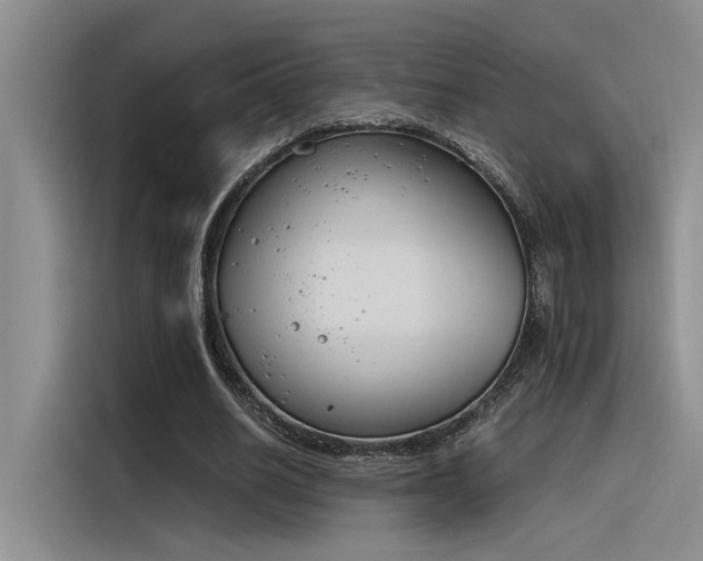 X0000116390630200912021006