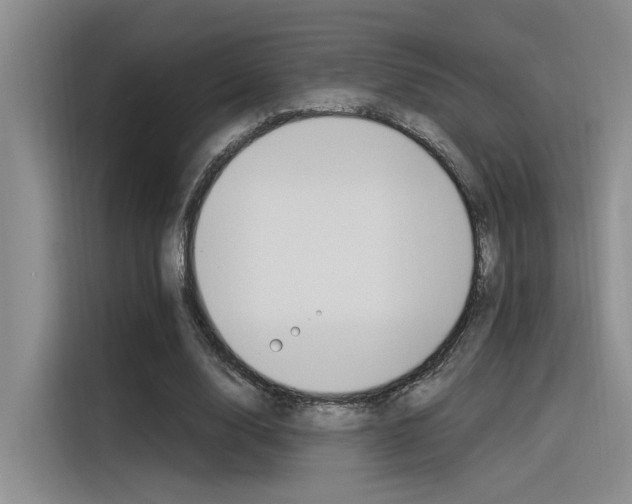 X0000116390632200912021006