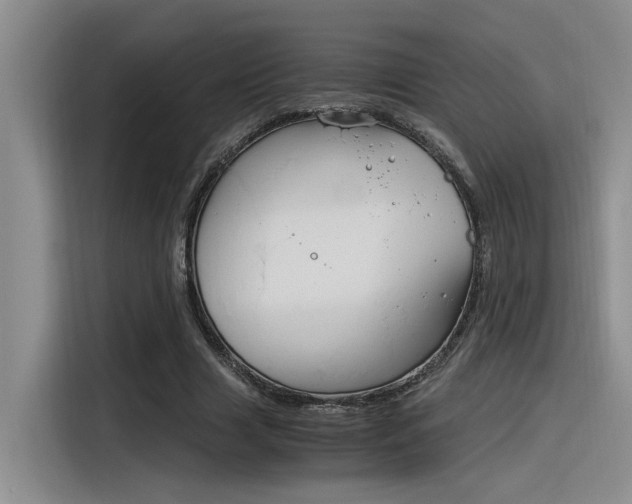 X0000116390633200912021007