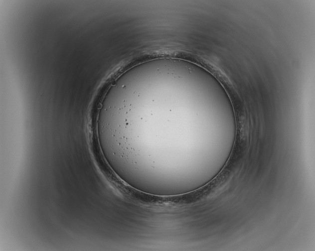 X0000116390634200912021007