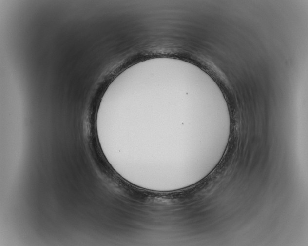 X0000116390635200912021007