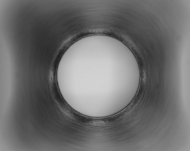 X0000116390636200912021007