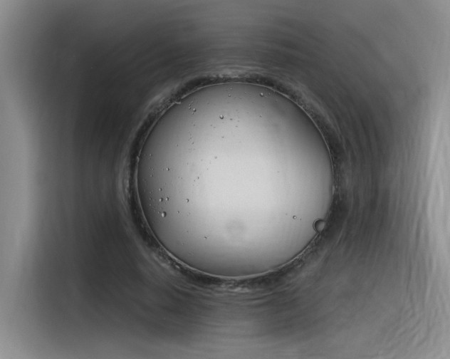 X0000116390640200912021007