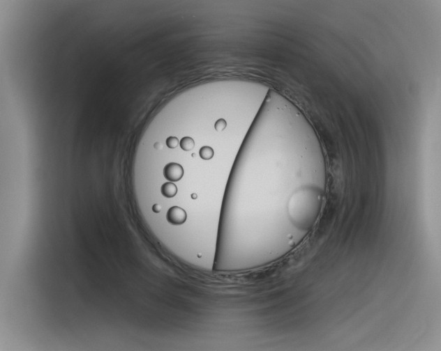 X0000116390642200912021007