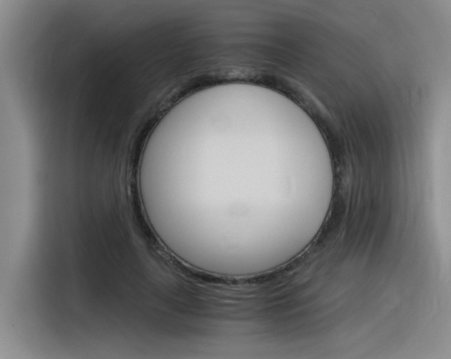 X0000116390643200912021007