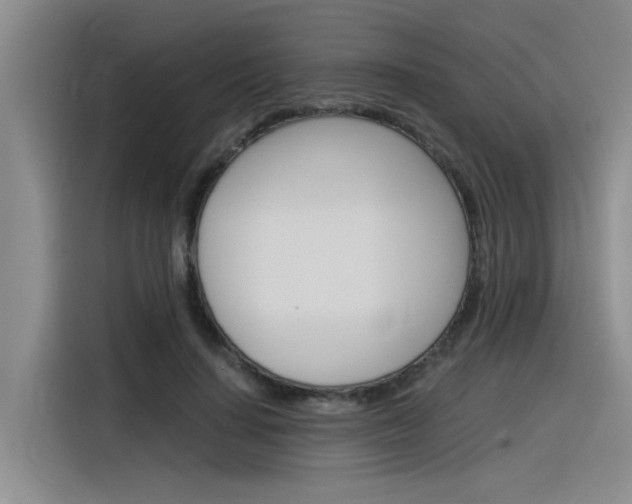 X0000116390644200912021007