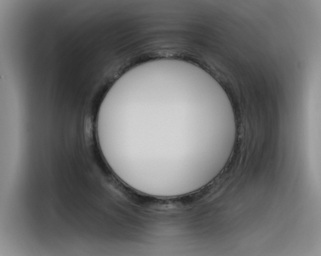 X0000116390646200912021007