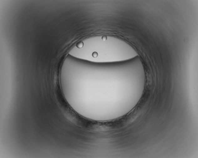 X0000116390648200912021007
