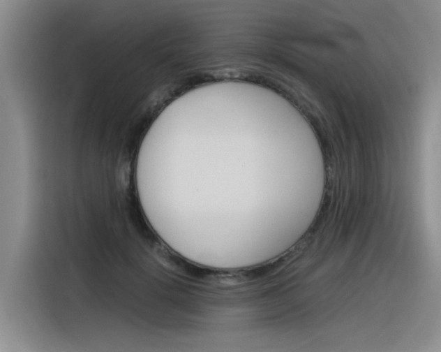 X0000116390652200912021007