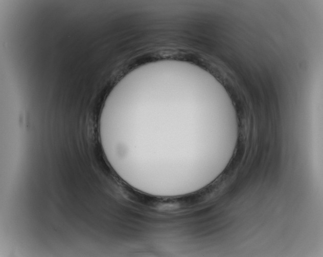 X0000116390653200912021007