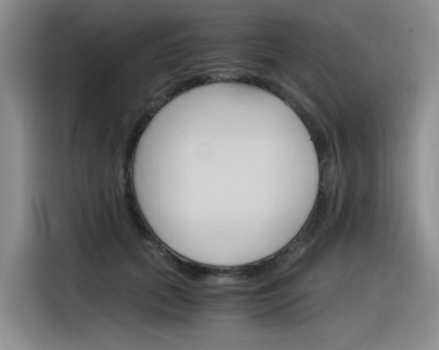 X0000116390655200912021007