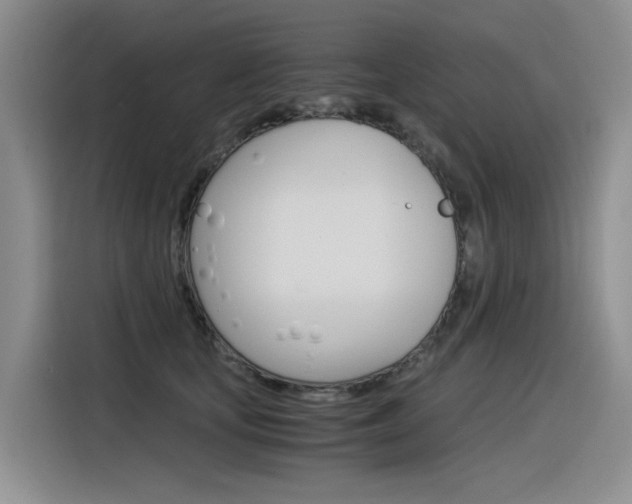 X0000116390659200912021007