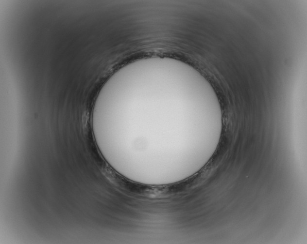 X0000116390660200912021007