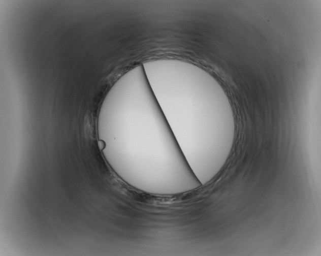 X0000116390661200912021007