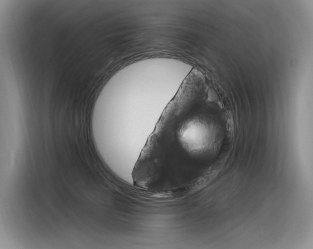 X0000116390662200912021007