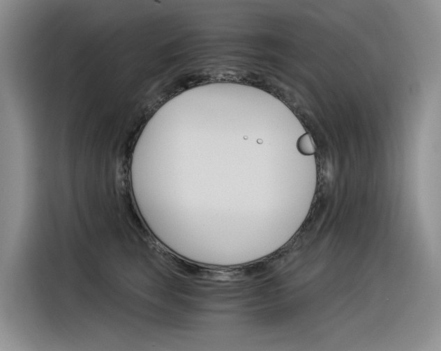 X0000116390663200912021007
