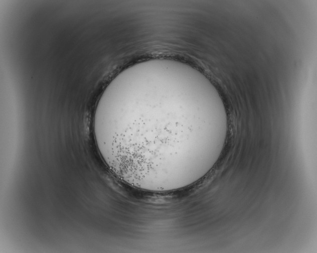 X0000116390664200912021007