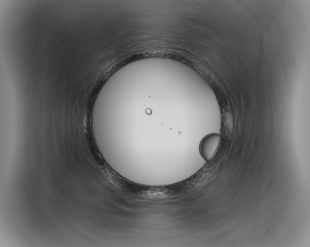 X0000116390668200912021007