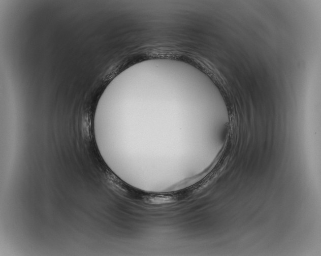 X0000116390669200912021007