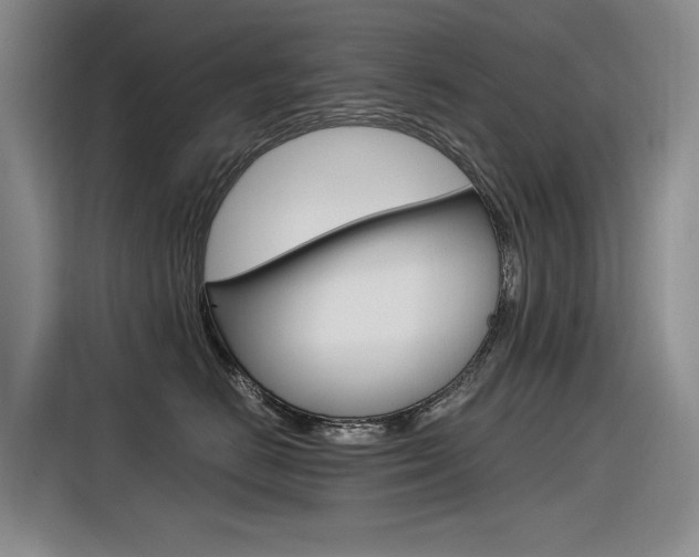 X0000116390670200912021007