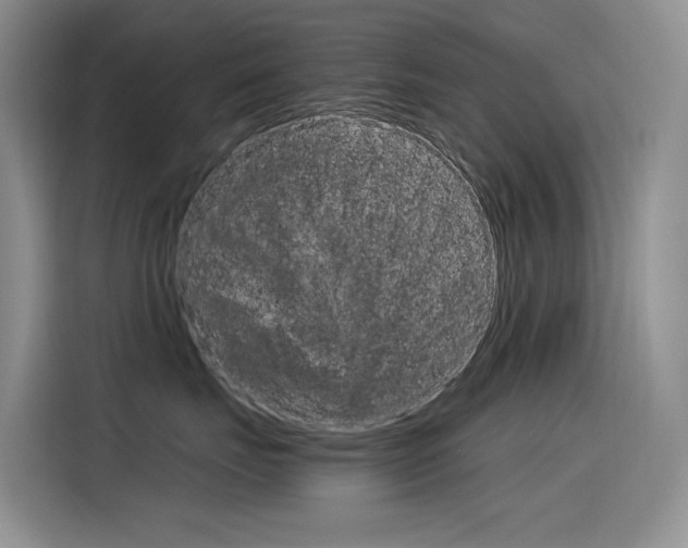X0000116390671200912021007