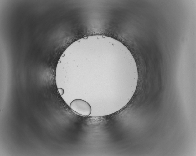 X0000116390672200912021007