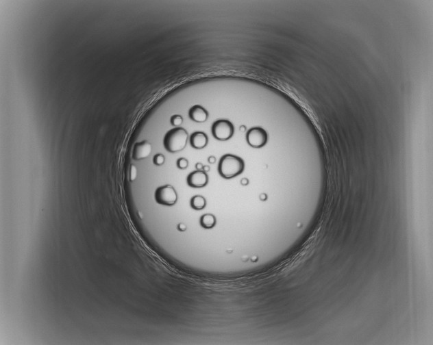 X0000116390673200912021006
