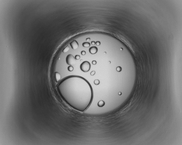 X0000116390676200912021006