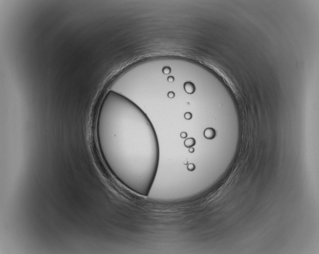 X0000116390677200912021006
