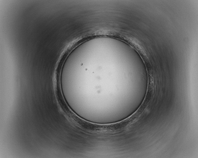 X0000116390678200912021006