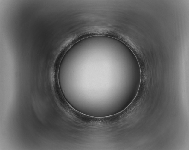 X0000116390679200912021006