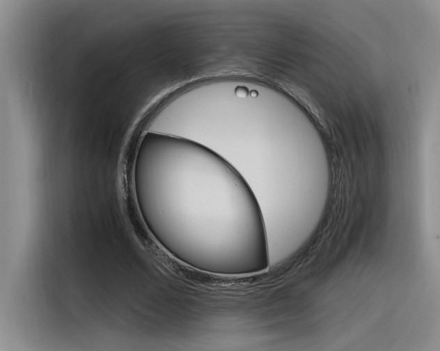 X0000116390680200912021006