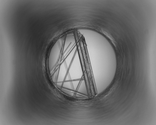 X0000116390681200912021006