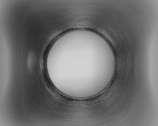 X0000116390683200912021006