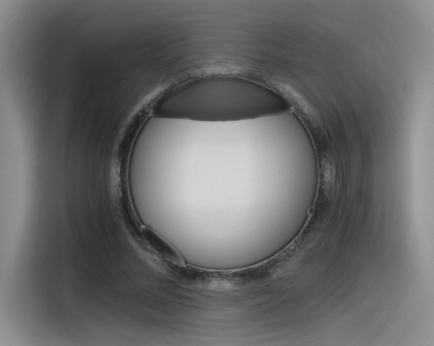 X0000116390684200912021006