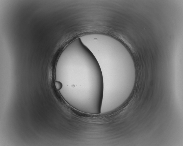 X0000116390685200912021006
