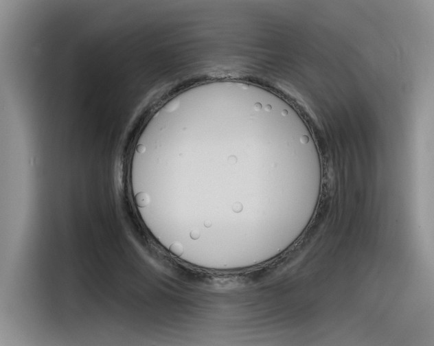 X0000116390686200912021006