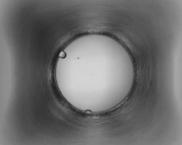 X0000116390687200912021006