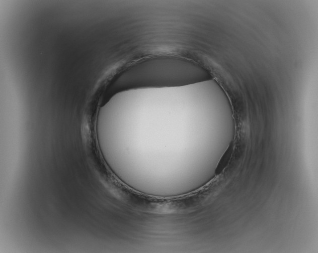 X0000116390688200912021006
