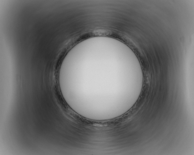 X0000116390690200912021006